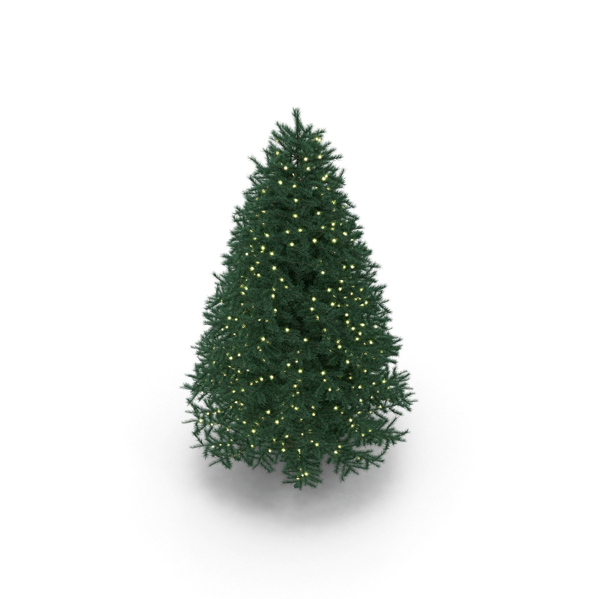 Juletre uten pynt